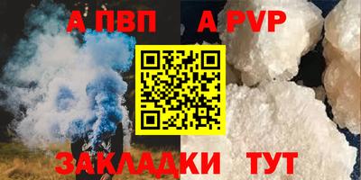 гашик Можга