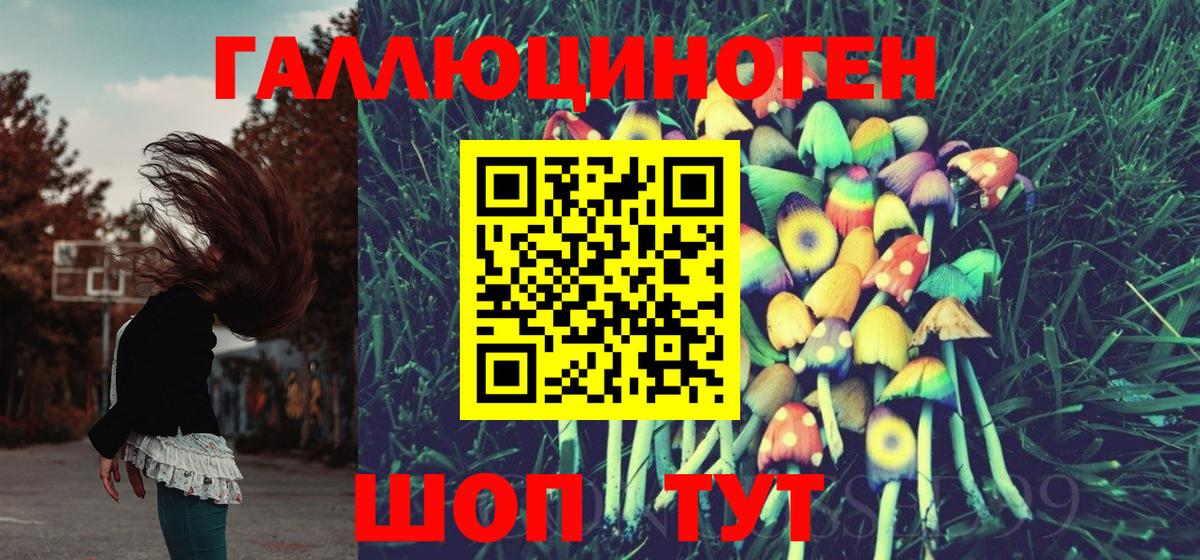 Севастополь  Псилоцибиновые грибы мухоморы  Вход с VPN 