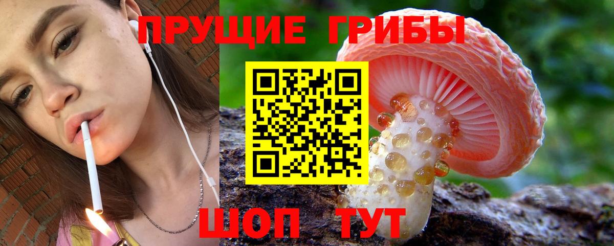 Псилоцибиновые грибы Cubensis Севастополь